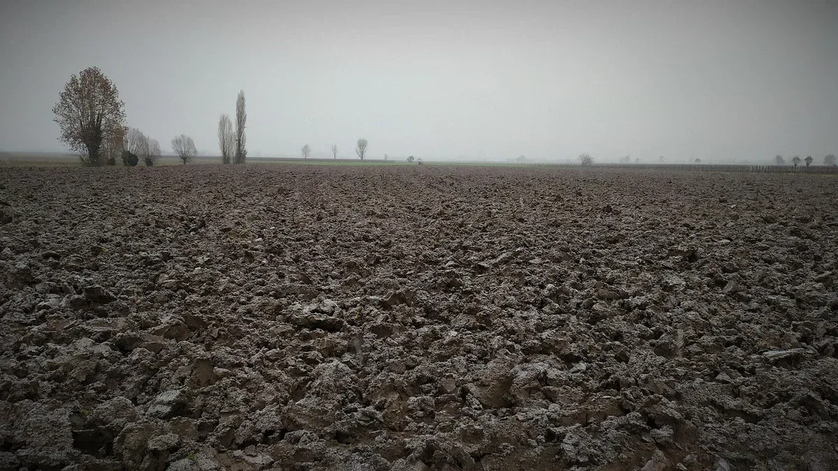 Terriccio che resta bagnato per giorni: tre controlli prima di rinvasare