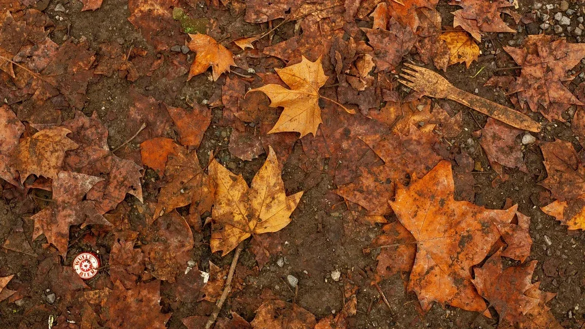Terreno coperto di foglie: quando la pacciamatura diventa troppo spessa