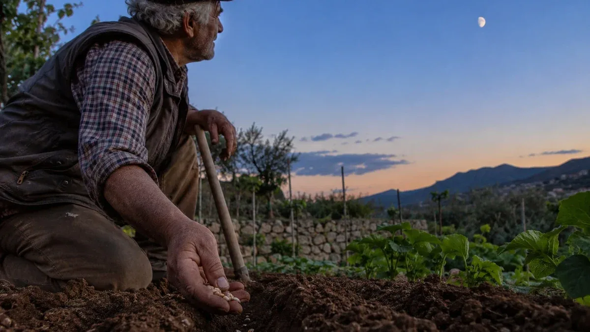 Semina in semenzaio in autunno: come prevenire condensa e muffe