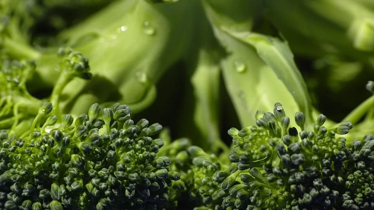 Broccoli con foglie grandi ma senza testa: quali condizioni verificare