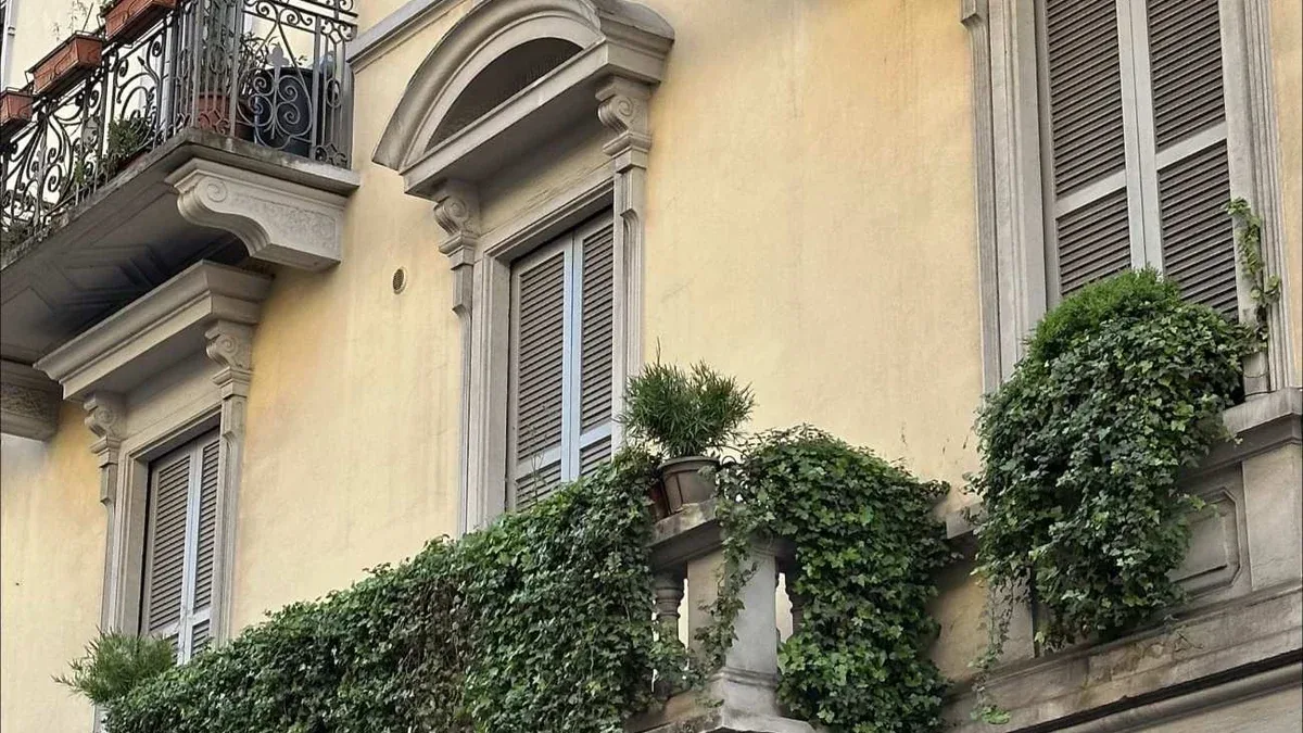 Piante che inclinano verso la finestra: come ruotare il vaso correttamente