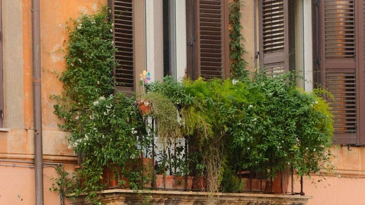 Cipollotti sul balcone: come coltivarli in una cassetta